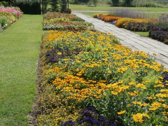 Dendrologic Park of Bulduri Gardening College